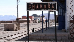 charana station & dog-sm